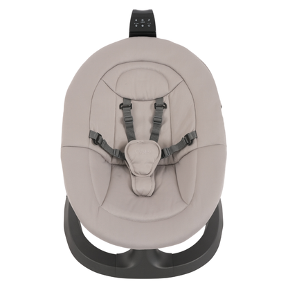 Oyster Ocean Rocker